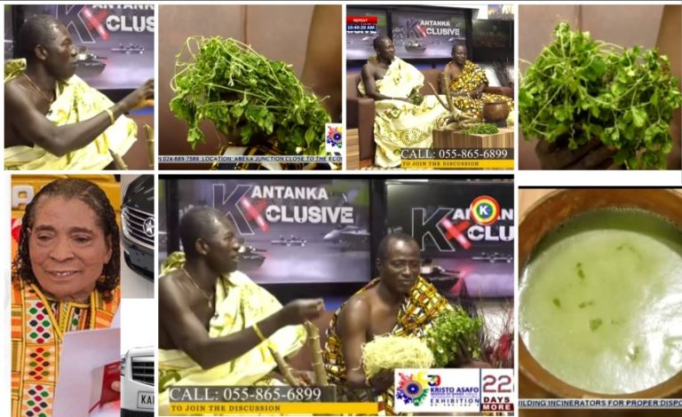 Apostle Safo Herbs Men teach over 10 Sickness with Herbal Cure (Watch Video)