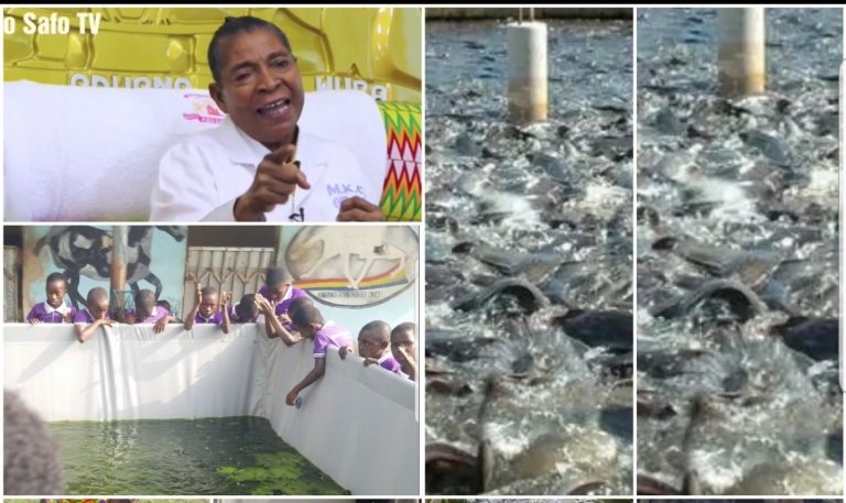Watch How Apostle Safo Kantanka Uses Clapping to call Fishes in his Pound at his Gomoa Site (Video)