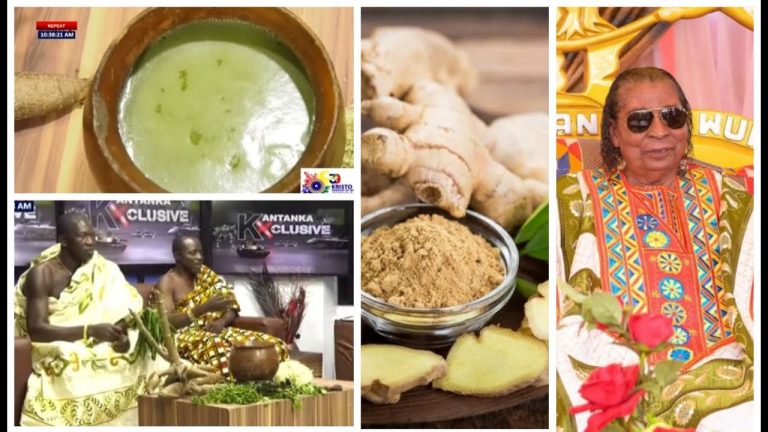 Watch how Apostle Safo’s herbal Doctors taught People how to use local Plants to cure all diseases (Video)